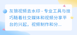 灰狼视频去水印
