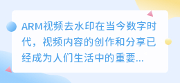 ARM视频去水印