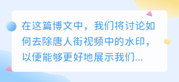 唐人街视频去水印