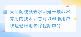 天仙配视频去水印