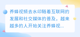 养蜂视频去水印