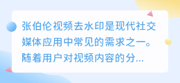 张伯伦视频去水印