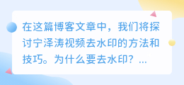 宁泽涛视频去水印