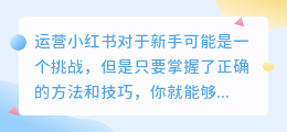 新手怎么运营小红书