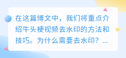 牛头梗视频去水印