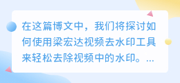 梁宏达视频去水印