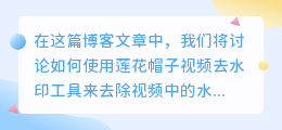 莲花帽子视频去水印