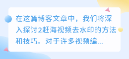2赶海视频去水印