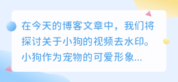 小狗的视频去水印