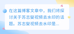 苏志燮视频去水印