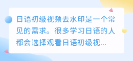 日语初级视频去水印