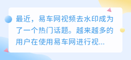 易车网视频去水印