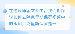 克里斯保罗视频去水印