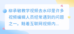 柳承敏教学视频去水印