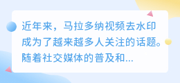 马拉多纳视频去水印