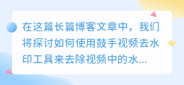 鼓手视频去水印
