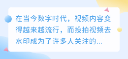 投拍视频去水印