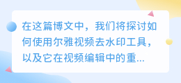 尔雅视频去水印