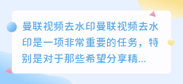 曼联视频去水印