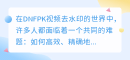 DNFPK视频去水印