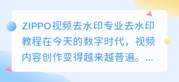 ZIPPO视频去水印