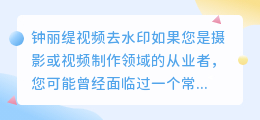 钟丽缇视频去水印