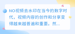 NO视频去水印