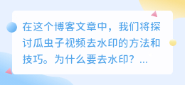 瓜虫子视频去水印