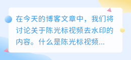 陈光标视频去水印