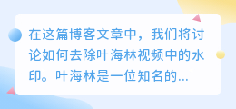 叶海林视频去水印