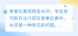 泰拳比赛视频去水印