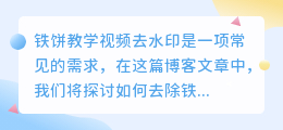 铁饼教学视频去水印