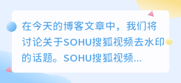 SOHU搜狐视频去水印