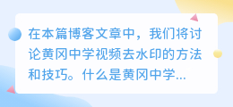 黄冈中学视频去水印