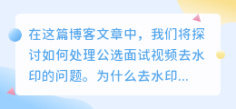 公选面试视频去水印