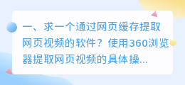 求一个通过网页缓存提取网页视频的软件?