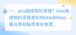 dna粗提取的原理？