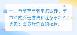 节节草节节草怎么养，节节草的养殖方法和注意事项？