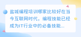 盐城编程培训哪家比较好