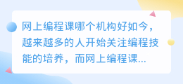 网上编程课哪个机构好