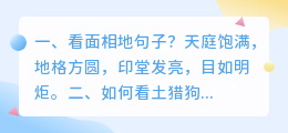 AI看面相的原理 如何看土猎狗的面相？