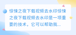 惊悚之夜下载视频去水印