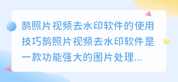 鹄照片视频去水印软件图片