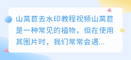 山莴苣怎么去水印教程视频