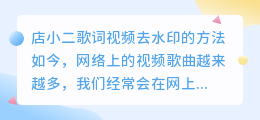 店小二歌词视频去水印