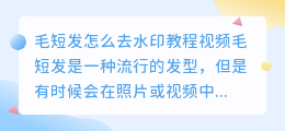 毛短发怎么去水印教程视频