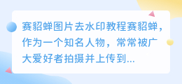 赛貂蝉图片去水印教程视频