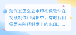 短假发怎么去水印视频软件