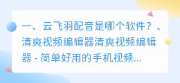 AI智能配音云飞羽是什么软件