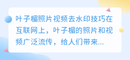 叶子楣照片视频去水印